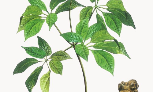 宝宝大便带粘液-宝宝便便有黏液是什么意思,中国宝宝便便带粘液照片网站